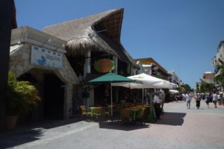 Hotel Maya Bric