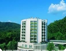 Hotel Bradet