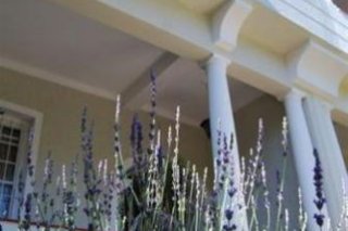 Cape Almasi B&B