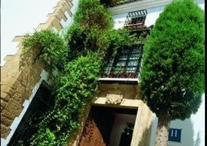 San Gabriel-su casa en ronda
