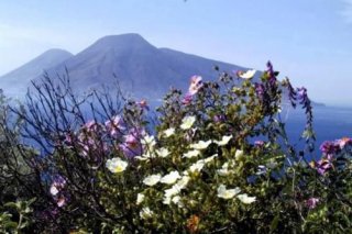 Agriturismo Santa Margherita