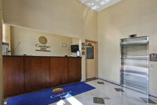 Comfort Inn  Queens