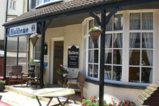 The Haldene