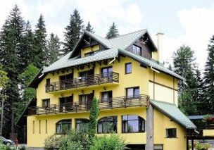 Hotel Casa Viorel
