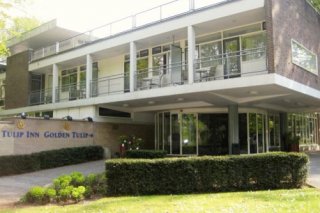 Golden Tulip