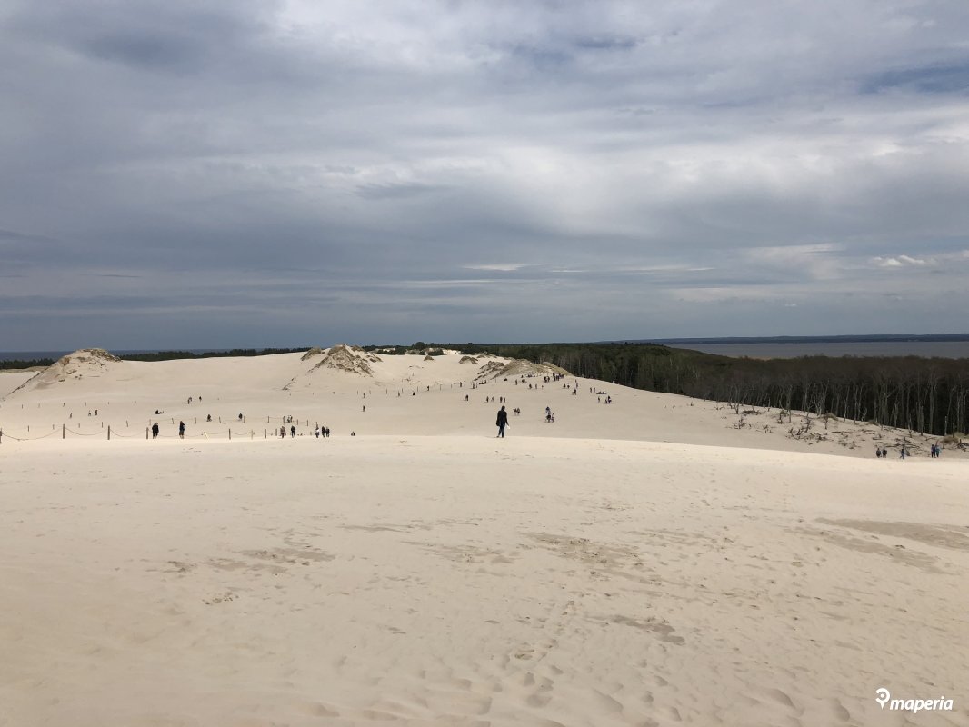 Na Wybrzeżu Słowińskim W Okolicach łeby Występuje Pas Ruchomych Wydm Ruchome wydmy w Słowińskim Parku Narodowym | Łeba (Ciekawe miejsca)