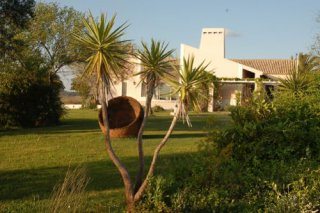 Monte Paraiso