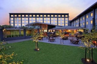 Ibis  Ellerslie
