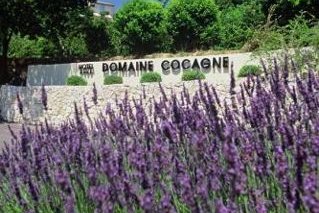 Sandton Hôtel Domaine Cocagne