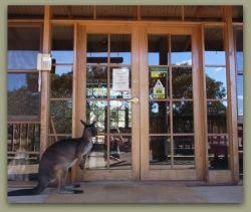 Kangaroo Island Wilderness Retreat