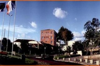Hôtel Des Vignes