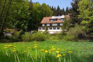 Hotel-Restaurant Waldhaus