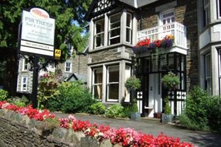 Fir Trees