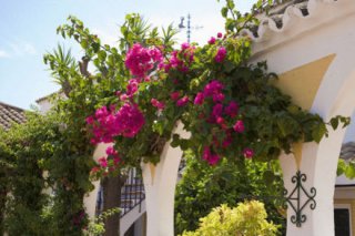 Hi! Pueblo Andaluz