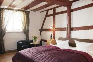 Hotel Elch