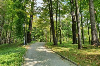 Park Górny