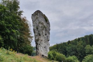 Maczuga Herkulesa