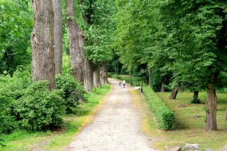 Park im. Jarosława Dąbrowskiego