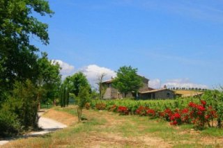 Agriturismo Il Poggio Di