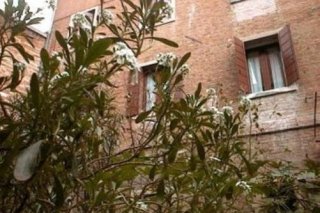 Domus Cavanis