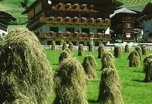 Ferienpension Senfter