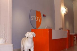 Stay