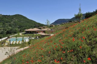Domaine de Saint Esteve