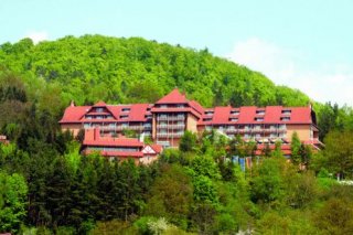 Göbels Hotel Rodenberg