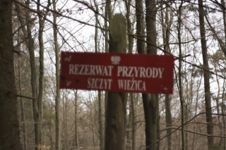 Parking Leśny