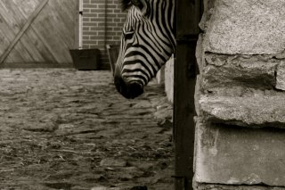 Ogród zoologiczny