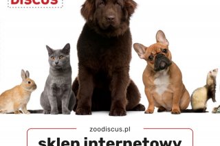 Sklep Zoologiczny i Hodowla Ryb Akwariowych 