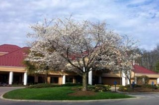 Doubletree Guest Suites  Airport