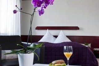 Hotel Neuer Karlshof