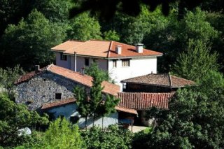 Alesga Rural