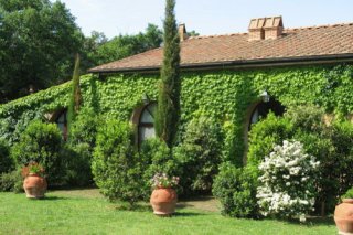 Ginestriccio