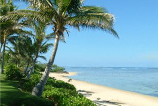 Bedarra Beach Inn