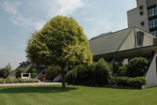 Hotel Cavallino