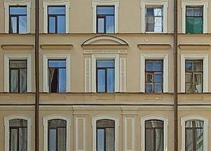Nevsky Aster