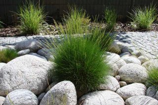 Garden Land
