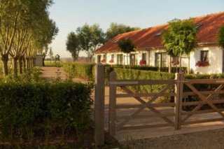 Knotwilgenhoeve