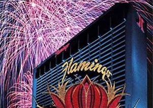 Flamingo Hotel & Casino