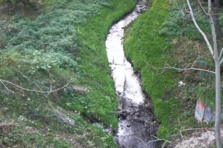 Dolina rzeki Drwinki
