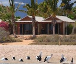 Dolphin Resort