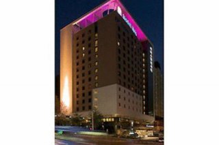 Ibis  Ambassador