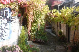 Saxonis Houses