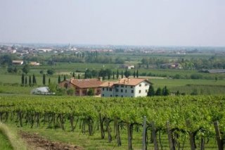 Casa Pierina Agriturismo