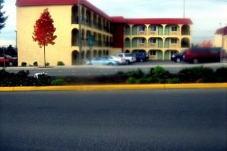 Skyway Inn-Seatac