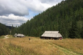Polana Jaworzynka