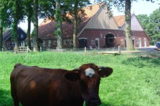 Erfgoed Bossem