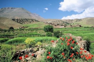 Touda Ecolodge Et Chambres D'hôtes Vallée Bougmez Maroc